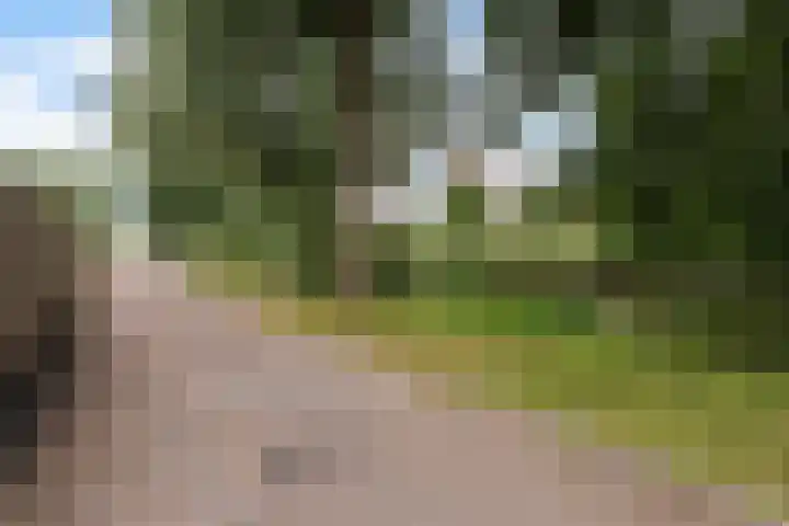 Westkreek 45 Apeldoorn thumbnail 4