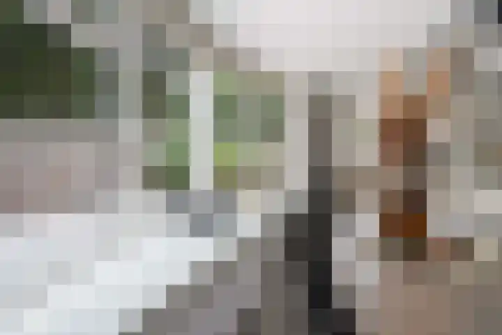 Westkreek 45 Apeldoorn thumbnail 9
