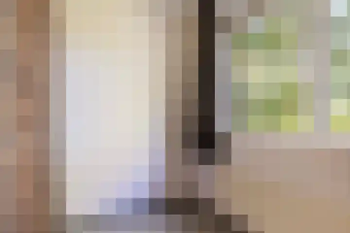 Westkreek 48 Apeldoorn thumbnail 33