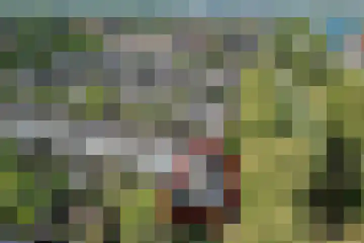 Westkreek 48 Apeldoorn thumbnail 41