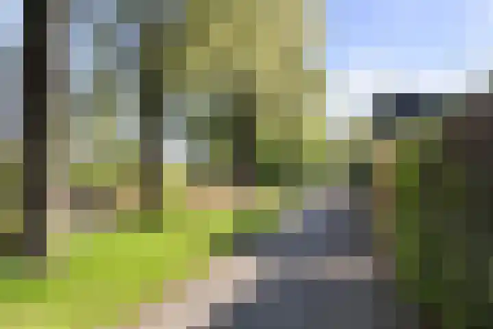 Westkreek 48 Apeldoorn thumbnail 43