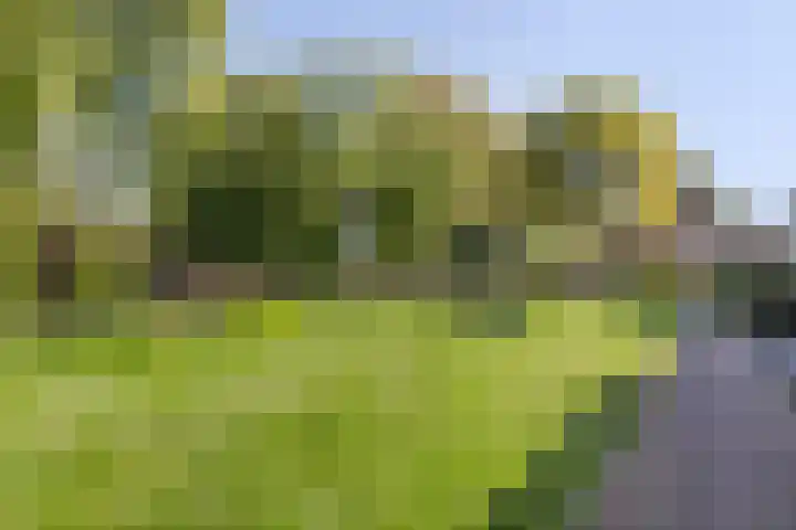 Westkreek 48 Apeldoorn thumbnail 45