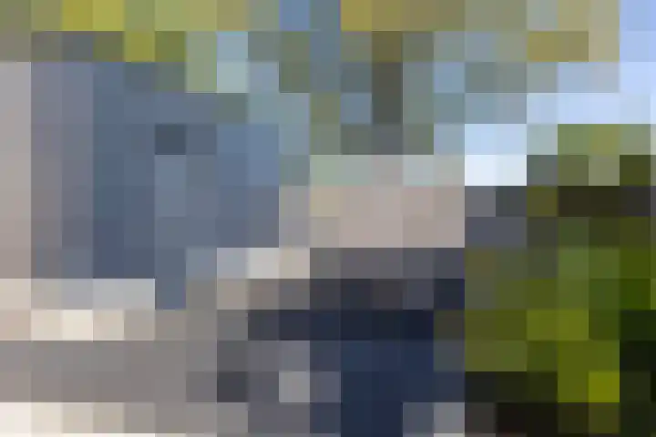 Westkreek 48 Apeldoorn thumbnail 9