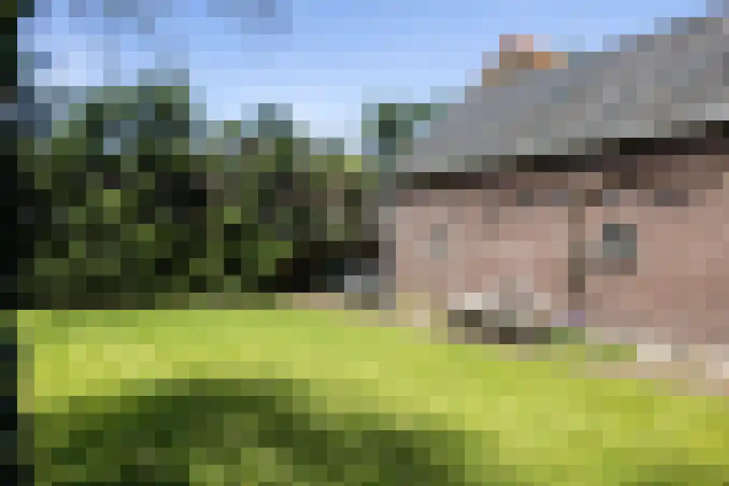 Westlaan 48 Pijnacker thumbnail 52