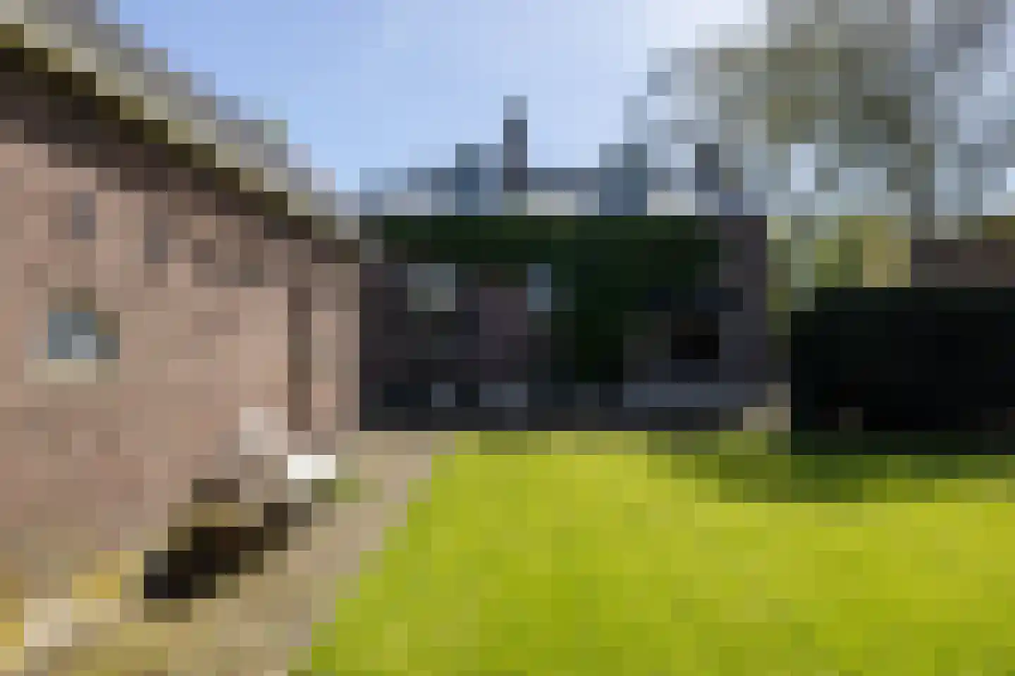 Westlaan 48 Pijnacker thumbnail 57