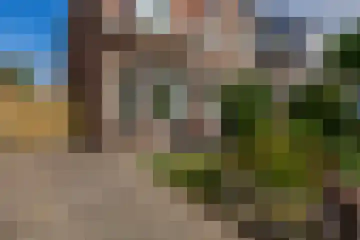 Westlaan 74 Pijnacker thumbnail 37