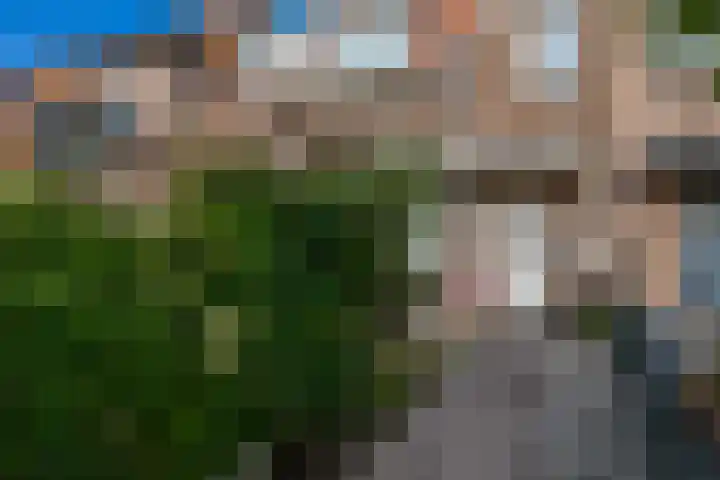 Westlaan 74 Pijnacker thumbnail 39