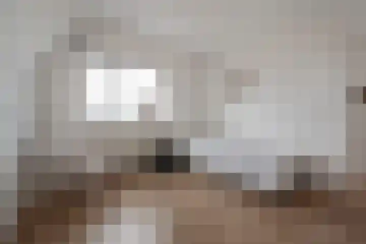 Westlaan 82 Pijnacker thumbnail 18