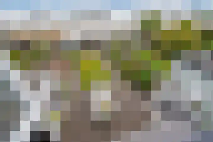 Westlaan 82 Pijnacker thumbnail 19