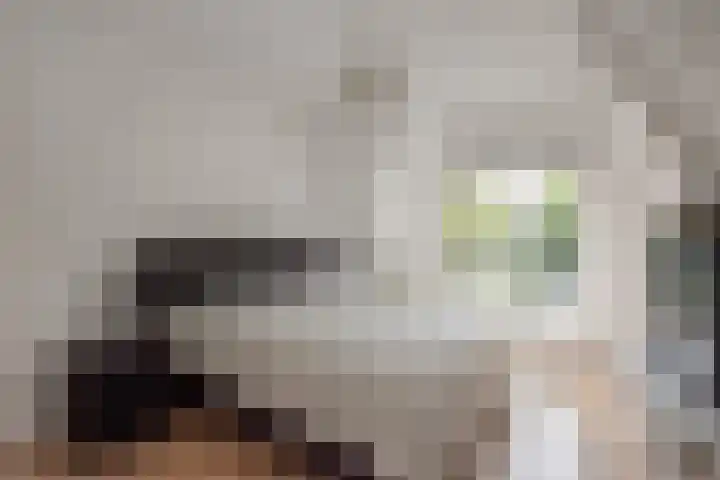 Westlaan 82 Pijnacker thumbnail 22