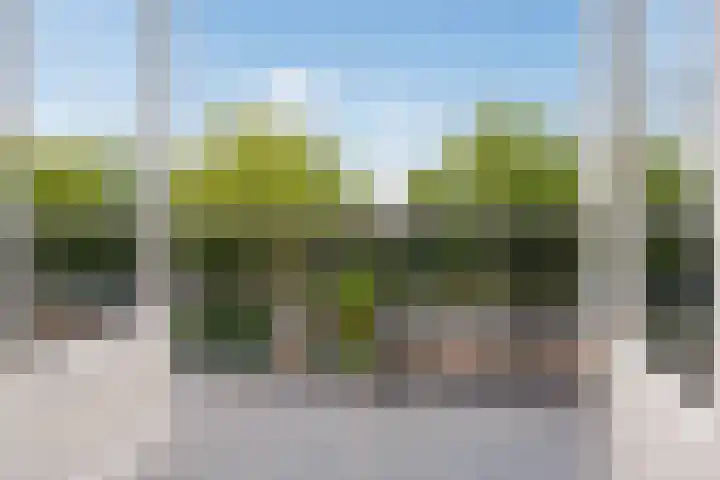 Westlaan 82 Pijnacker thumbnail 24