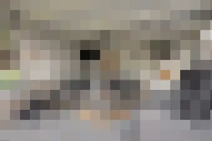 Westlaan 82 Pijnacker thumbnail 31