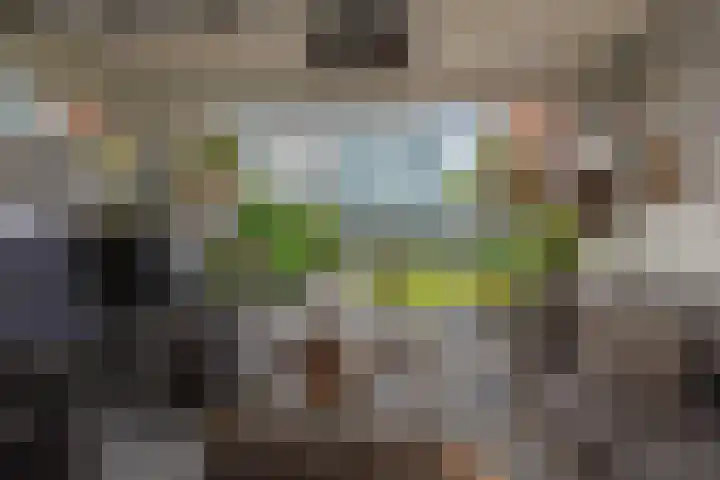 Westlaan 82 Pijnacker thumbnail 32