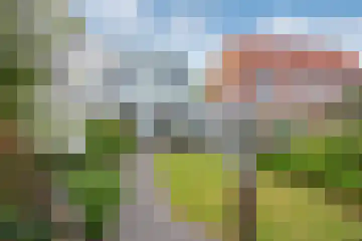 Westlaan 82 Pijnacker thumbnail 33