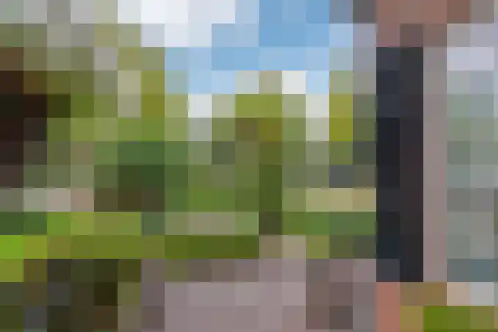 Westlaan 82 Pijnacker thumbnail 34