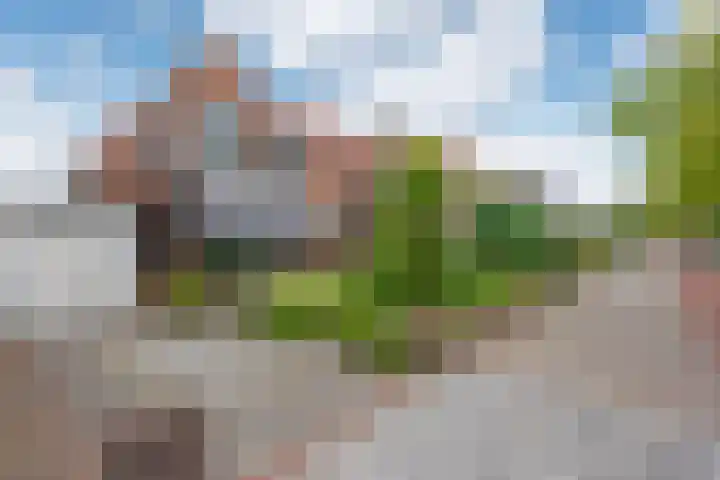 Westlaan 82 Pijnacker thumbnail 36
