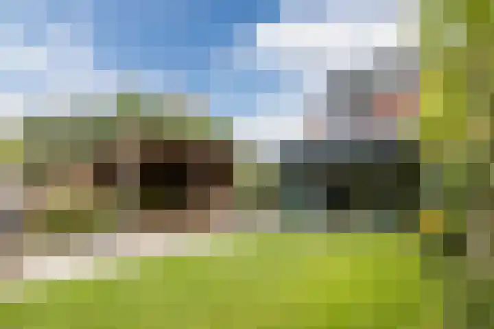 Westlake 13 Steenbergen thumbnail 44