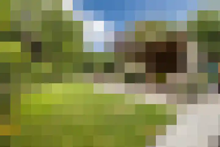 Westlake 13 Steenbergen thumbnail 45