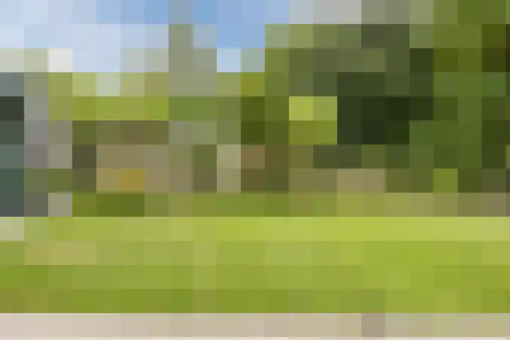 Westlake 13 Steenbergen thumbnail 47