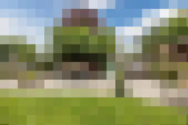 Westlake 13 Steenbergen thumbnail 48