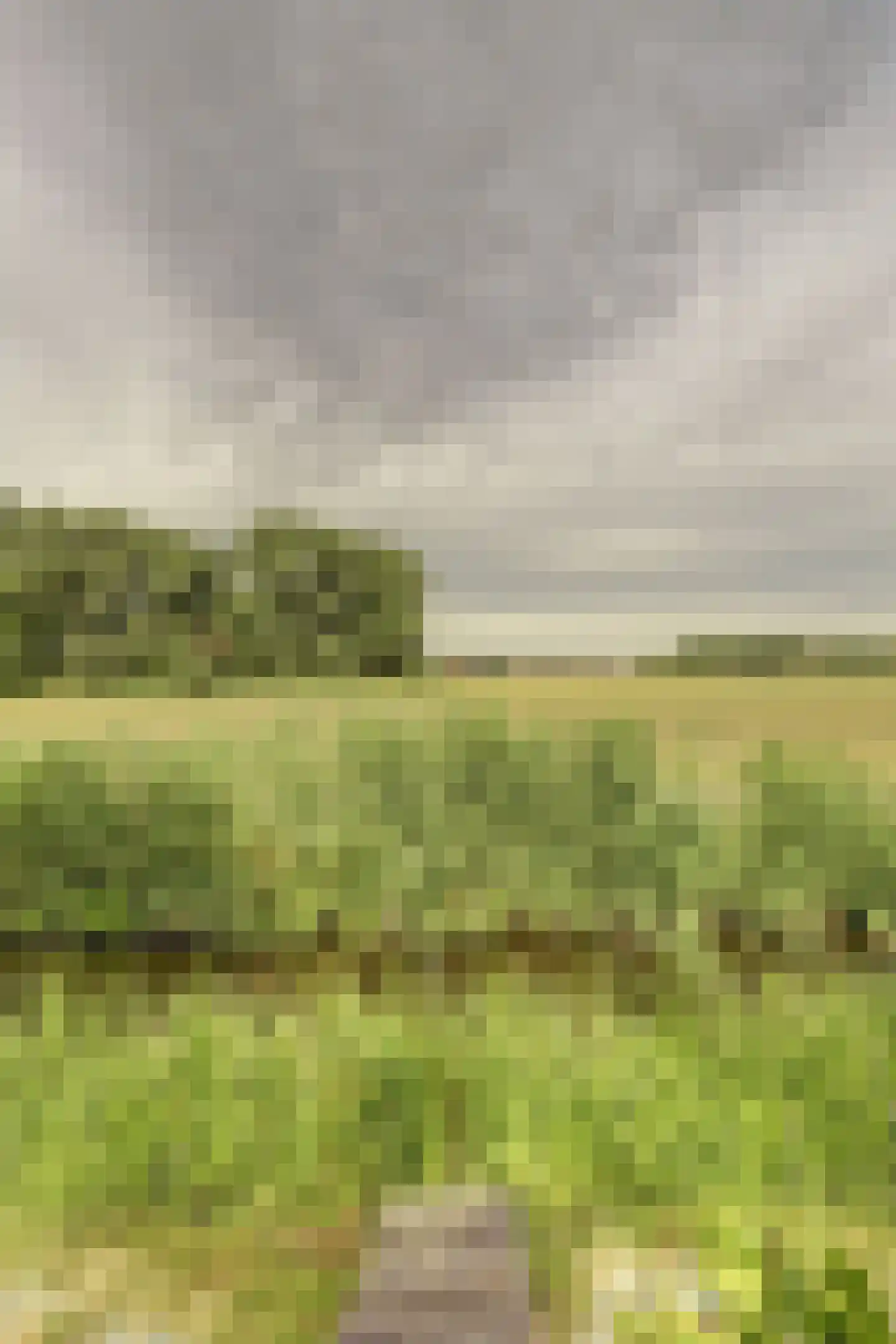 Westlake 25 Steenbergen thumbnail 40