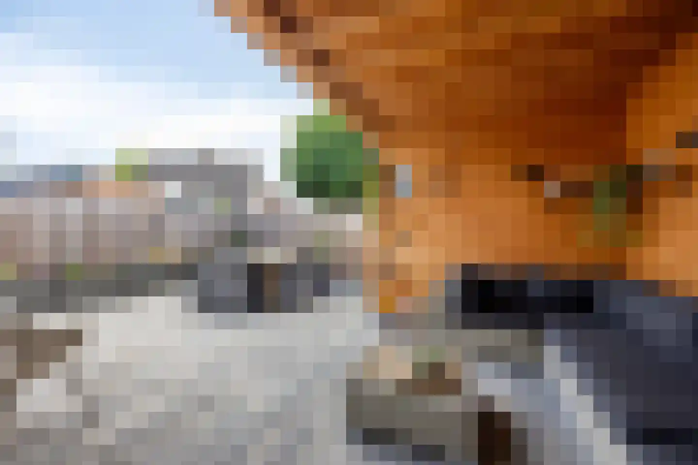 Westlake 4 Steenbergen thumbnail 4
