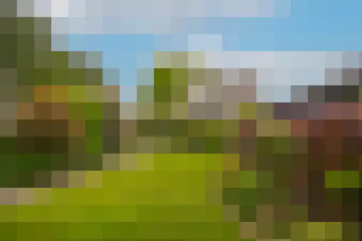 Westland 31 Purmerend thumbnail 4