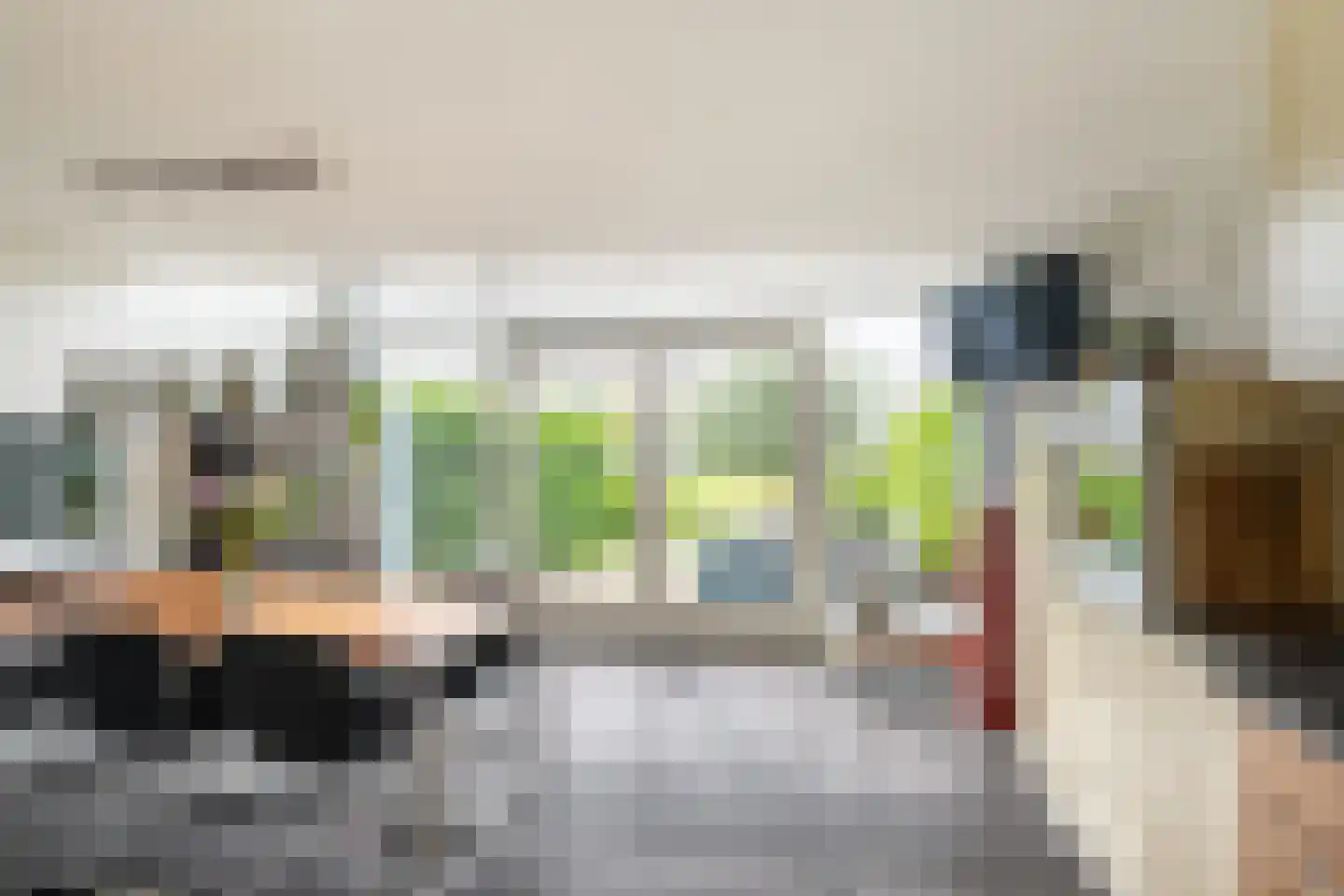 Westlander 79 Honselersdijk thumbnail 10