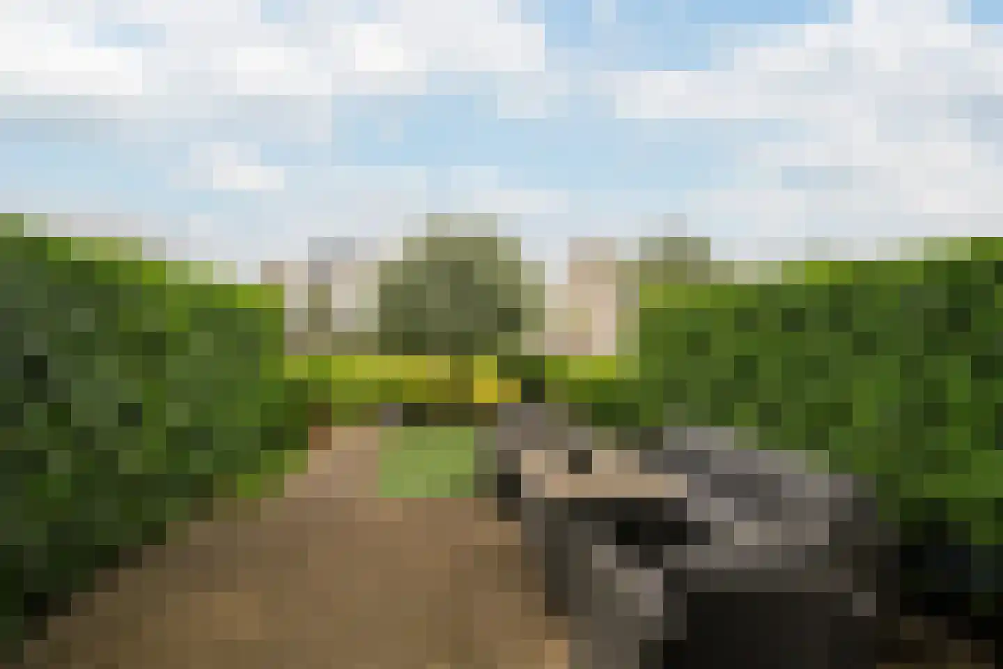 Westlander 79 Honselersdijk thumbnail 14