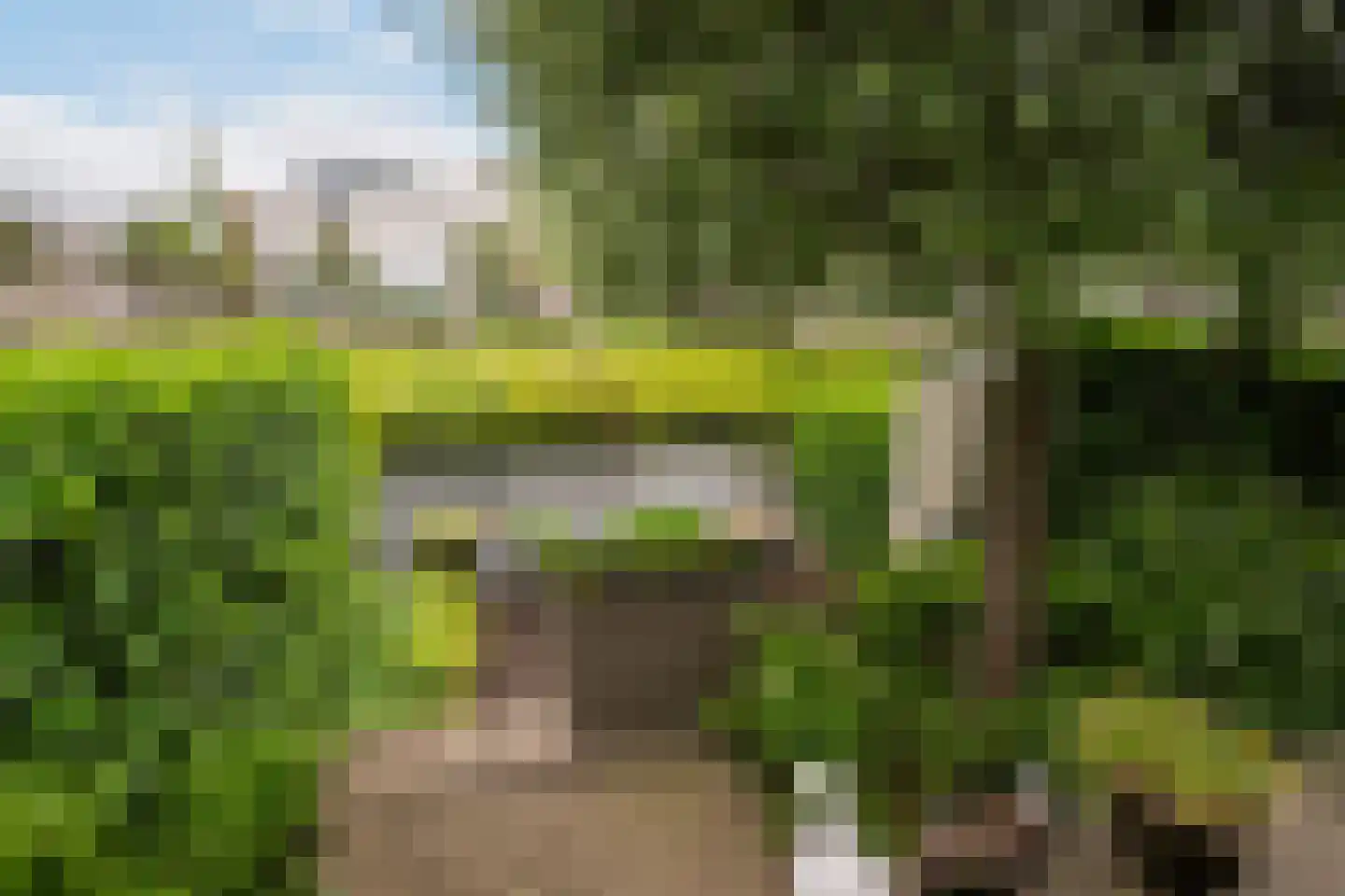 Westlander 79 Honselersdijk thumbnail 17