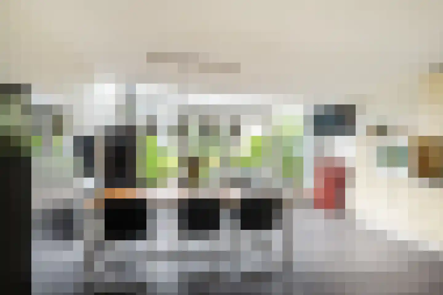 Westlander 79 Honselersdijk foto 3