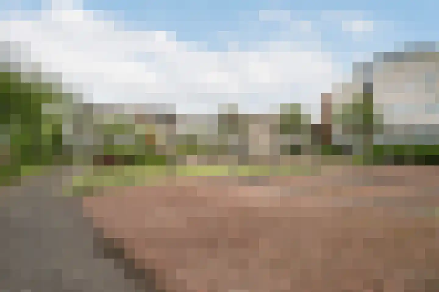Westlander 79 Honselersdijk thumbnail 42