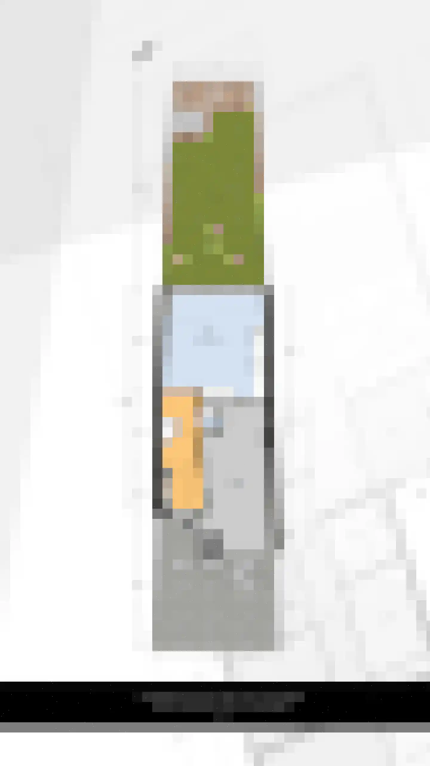 Westlander 79 Honselersdijk thumbnail 43