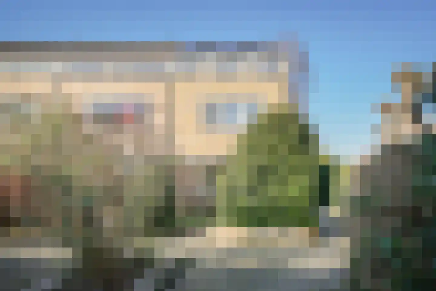 Westlanderstraat 23 Zaltbommel thumbnail 4