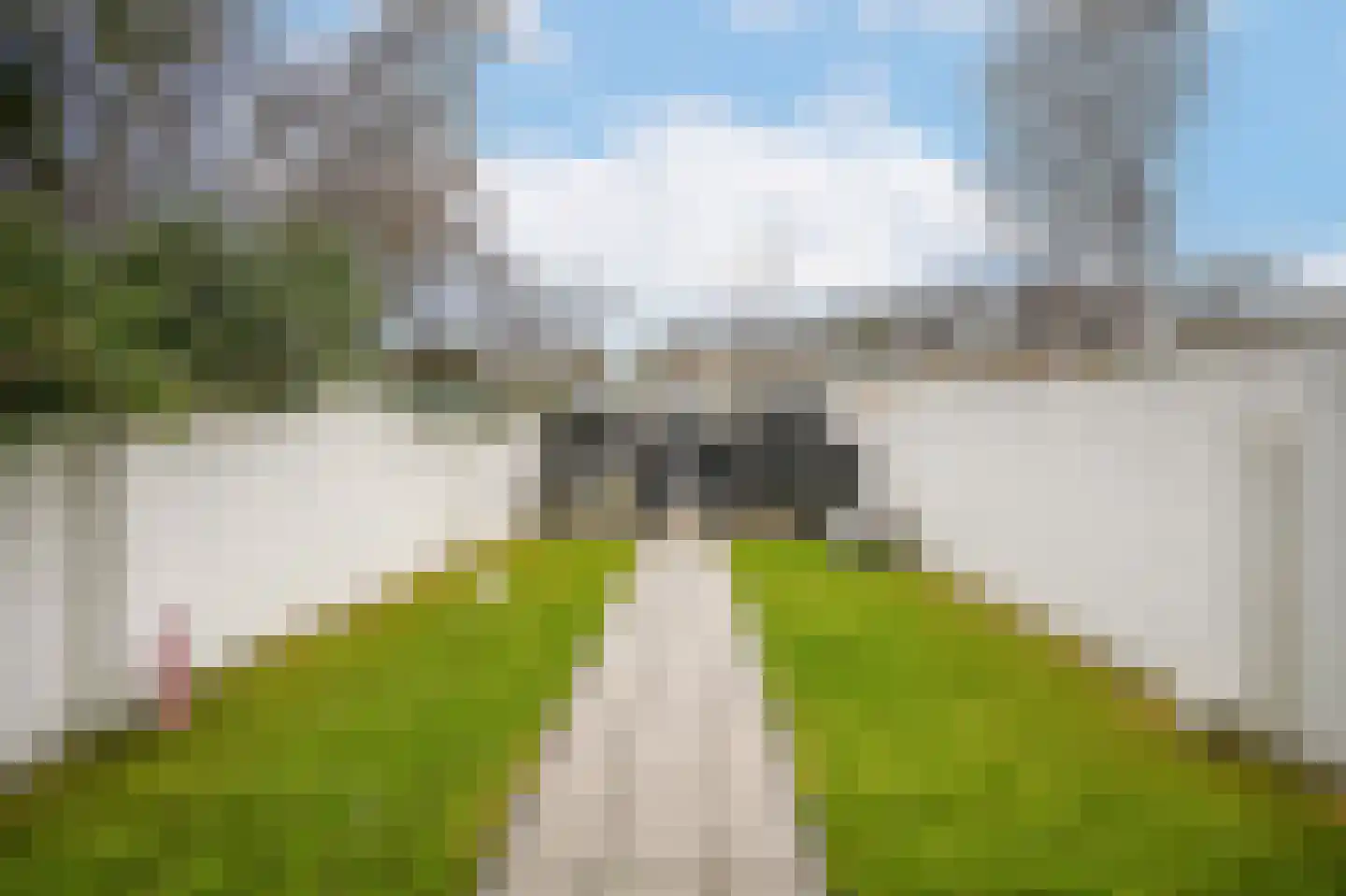 Westlanderstraat 9 Zaltbommel thumbnail 27