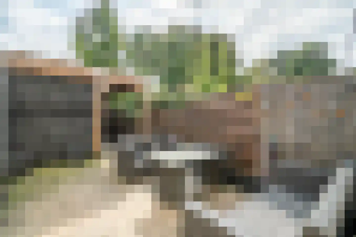 Westlanderwerf 3 Leiden thumbnail 11