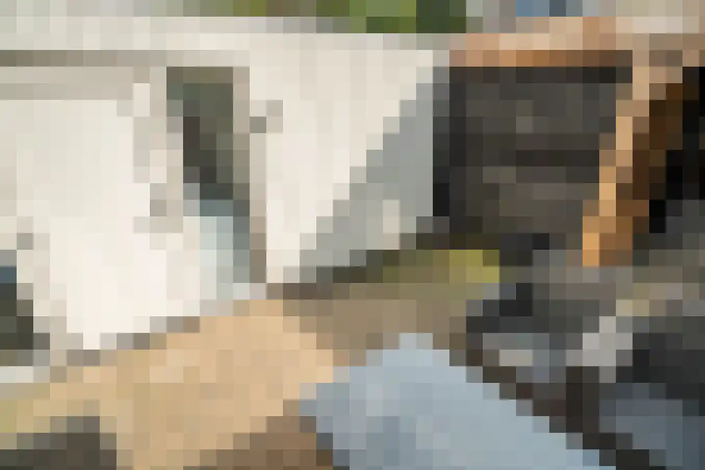 Westlanderwerf 3 Leiden thumbnail 12