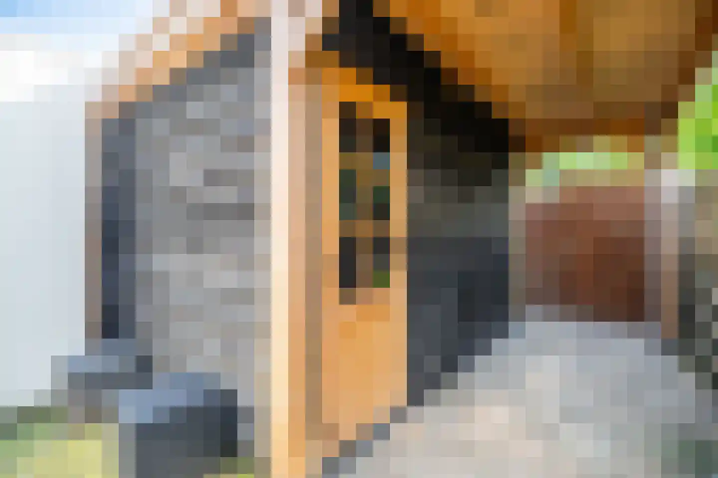 Westlanderwerf 3 Leiden thumbnail 13