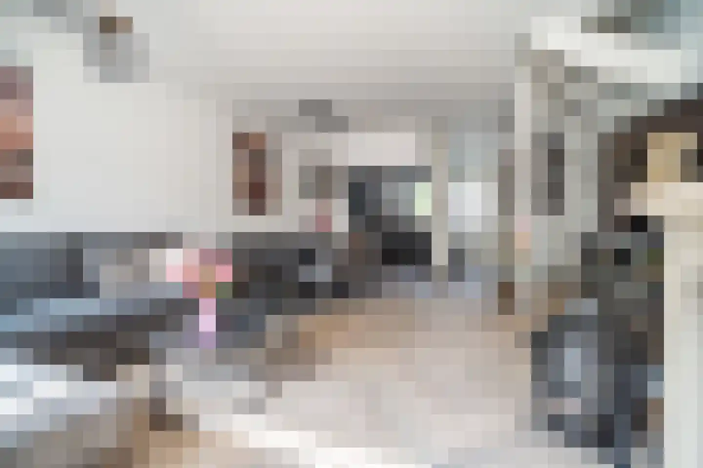 Westlanderwerf 3 Leiden thumbnail 20