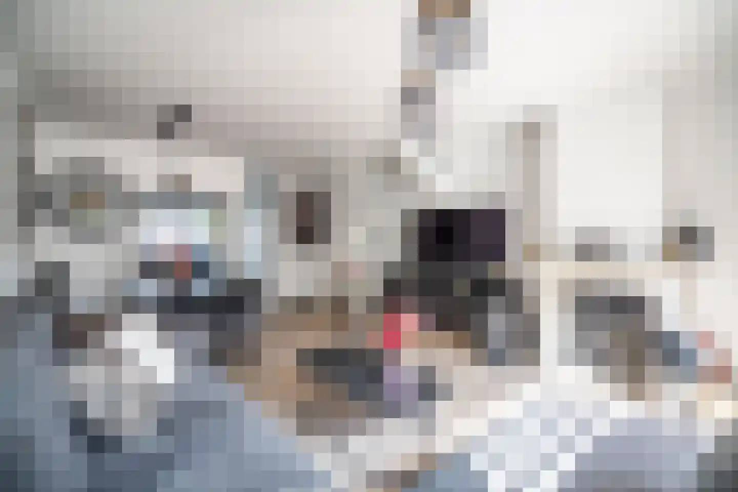 Westlanderwerf 3 Leiden thumbnail 21