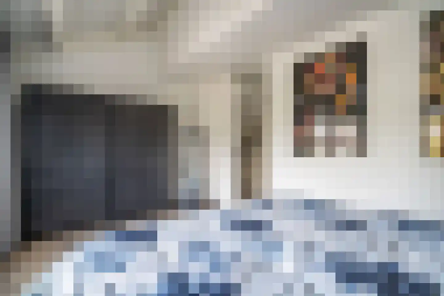 Westlanderwerf 3 Leiden thumbnail 31