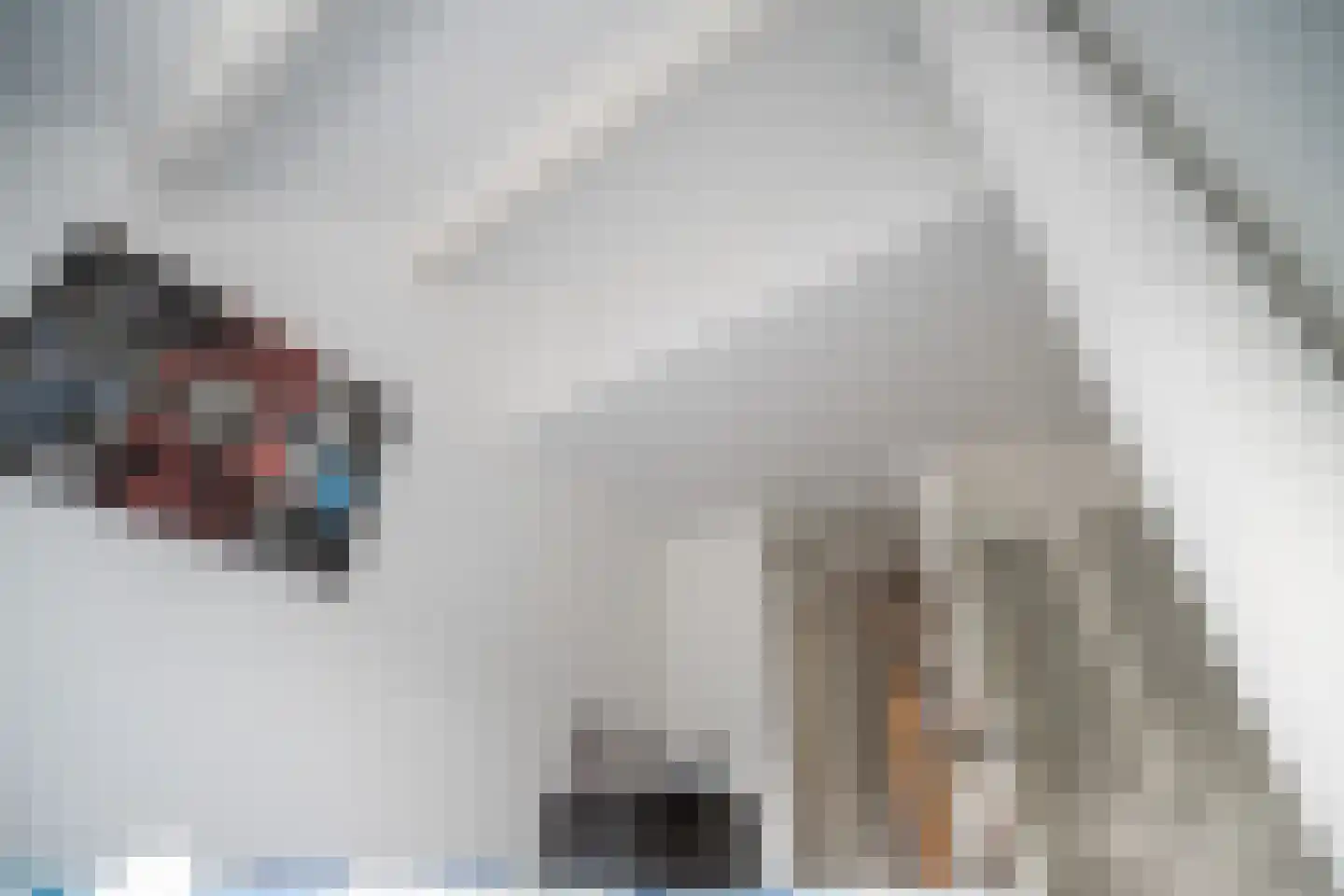 Westlanderwerf 3 Leiden thumbnail 35