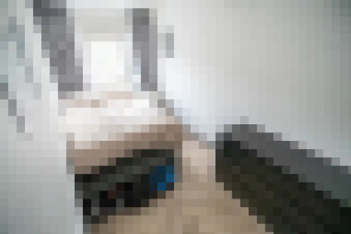 Westlanderwerf 3 Leiden thumbnail 36