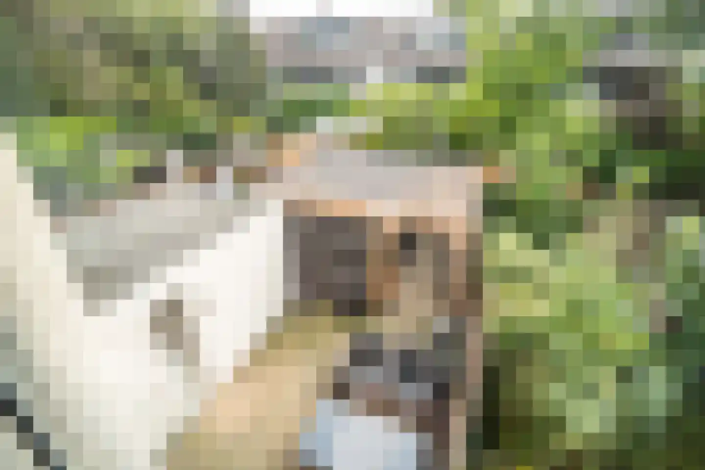Westlanderwerf 3 Leiden thumbnail 37