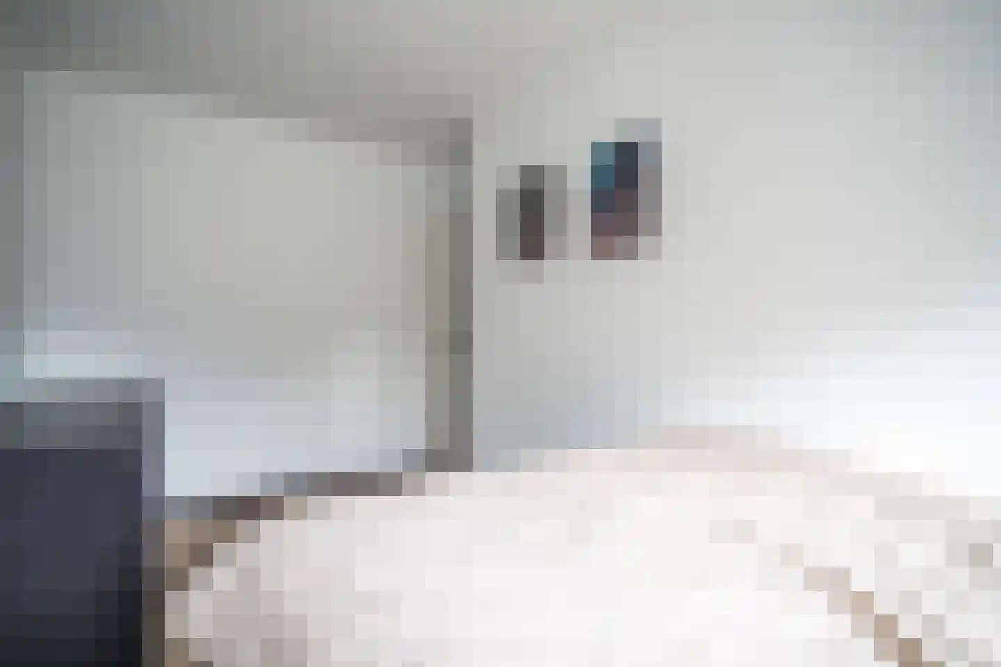 Westlanderwerf 3 Leiden thumbnail 38