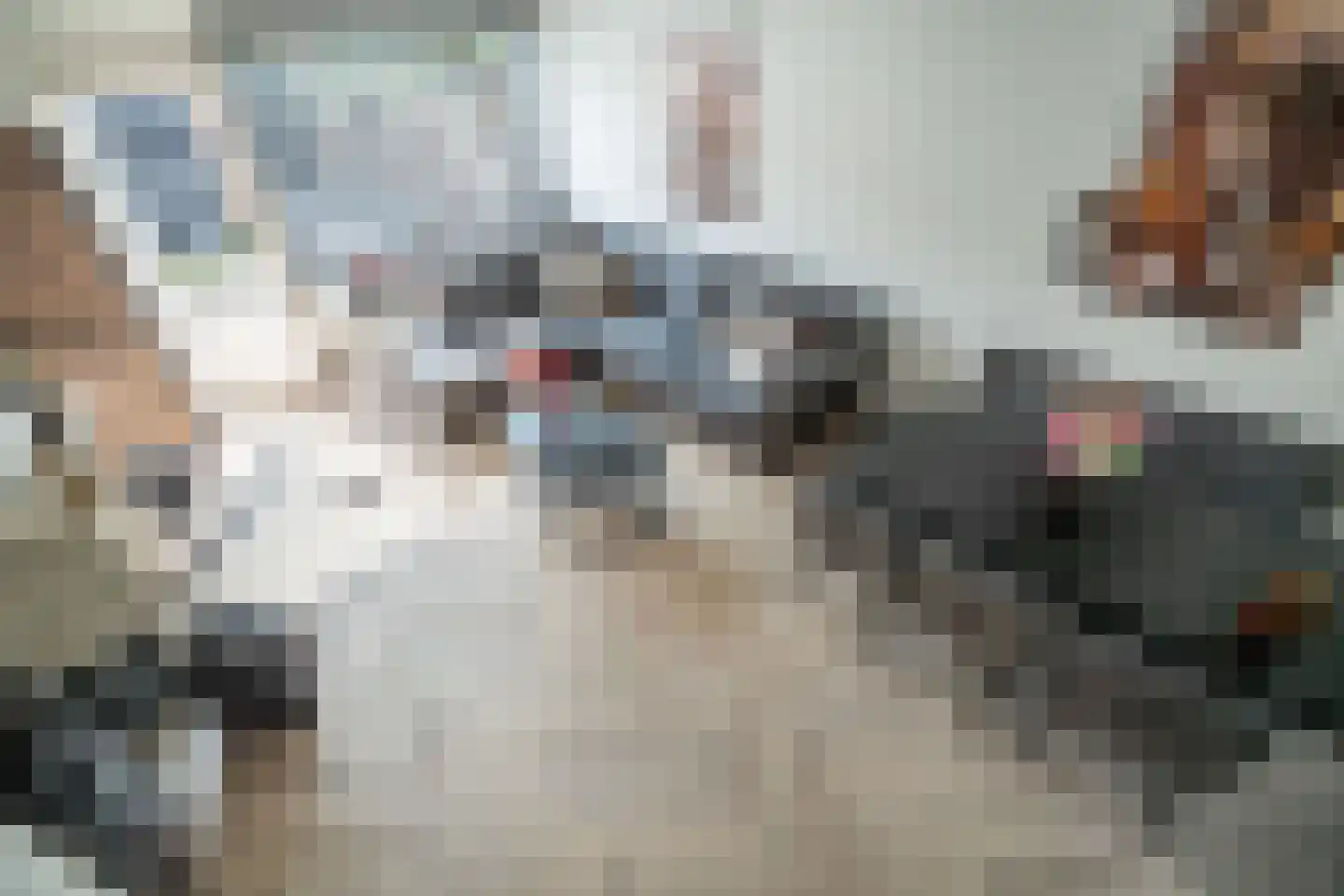 Westlanderwerf 3 Leiden thumbnail 4