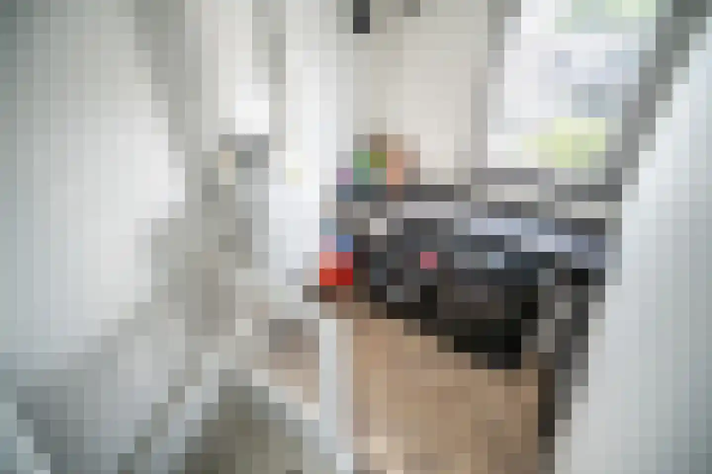 Westlanderwerf 3 Leiden thumbnail 44