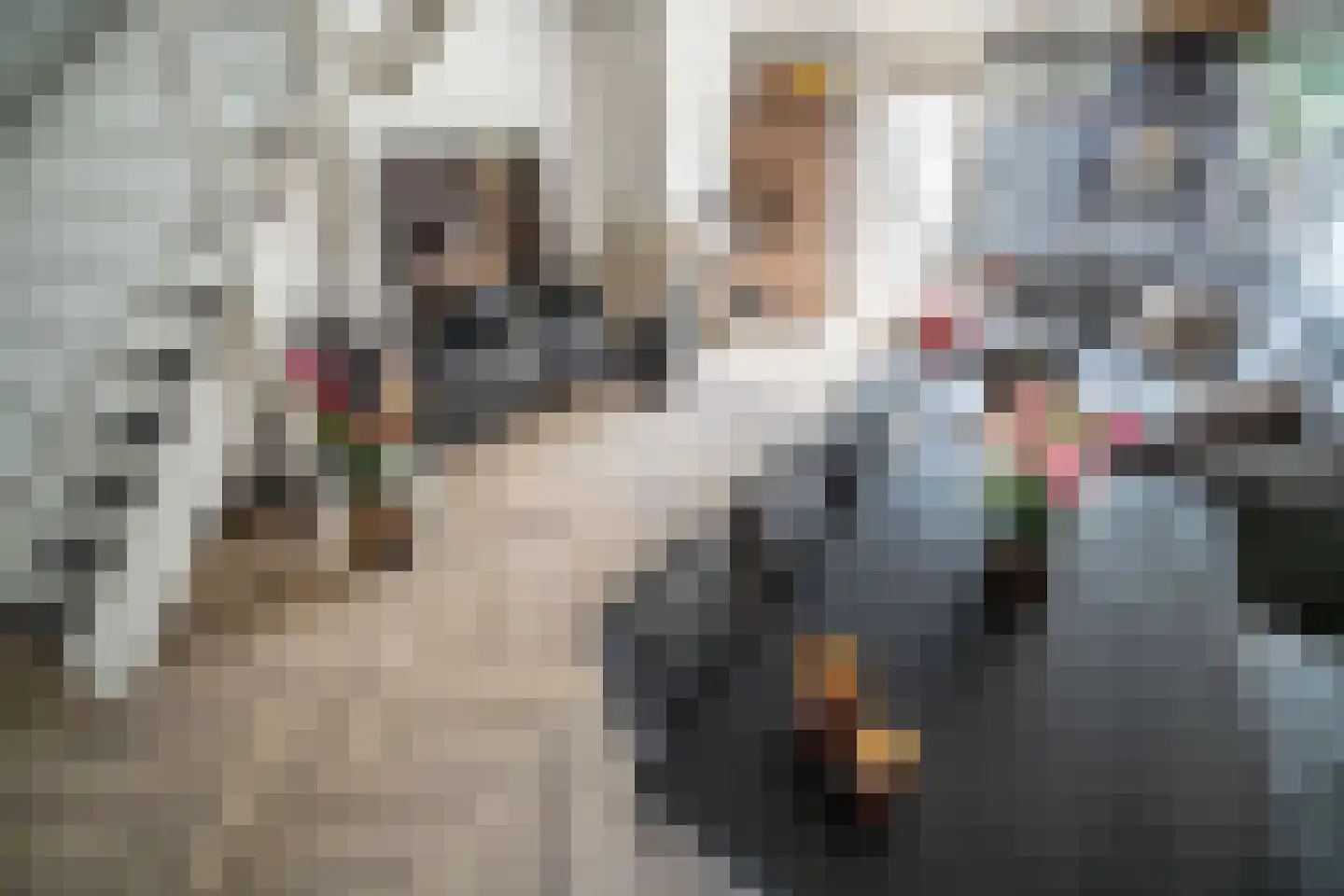 Westlanderwerf 3 Leiden thumbnail 5