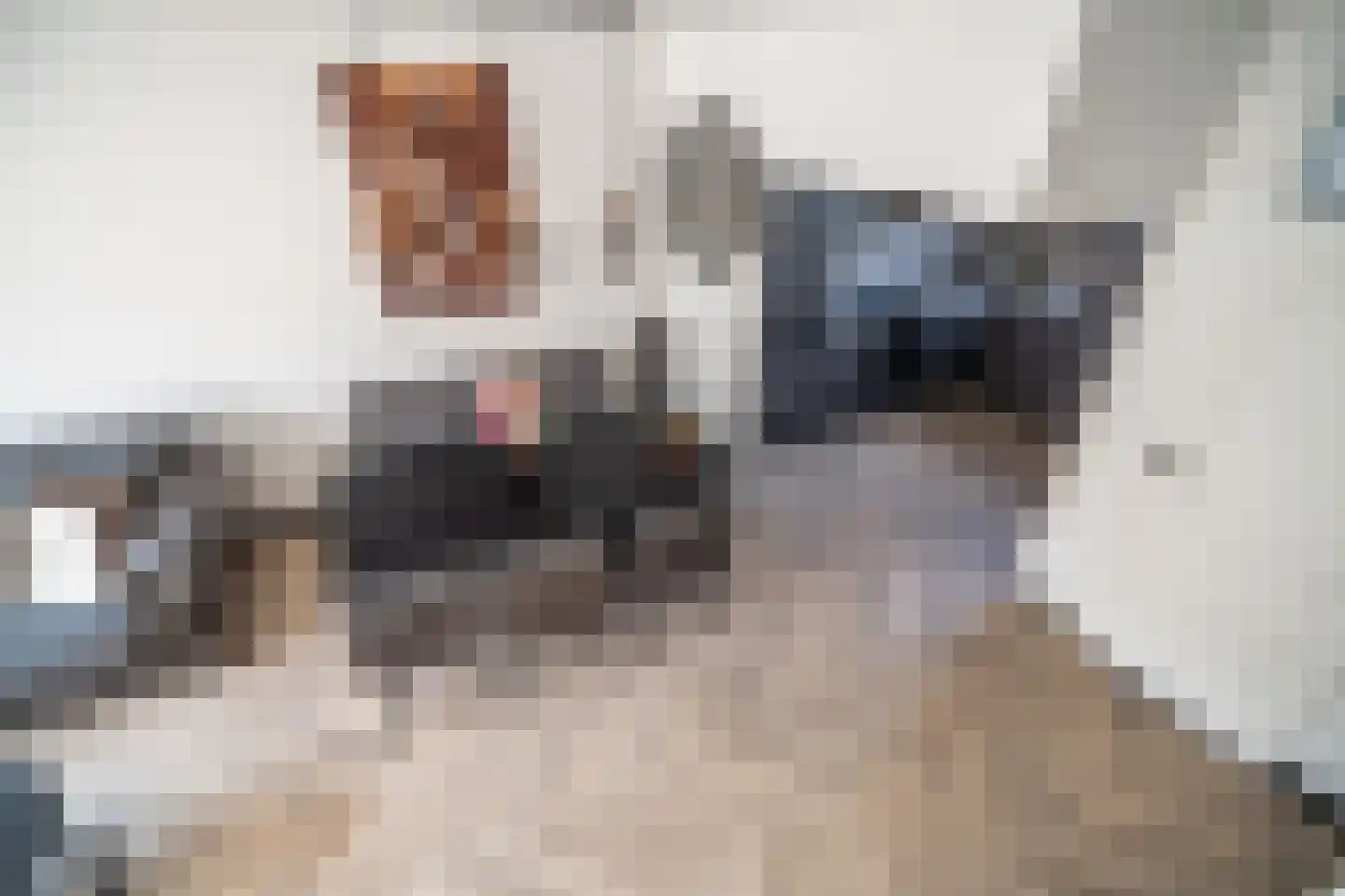 Westlanderwerf 3 Leiden thumbnail 6