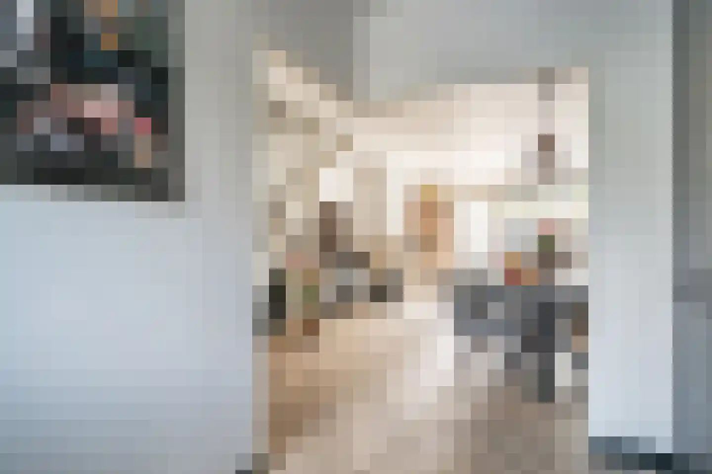 Westlanderwerf 3 Leiden thumbnail 8